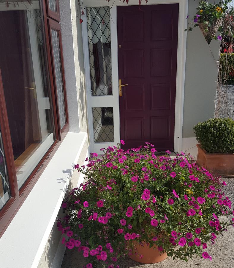 Ely House B&B Shannonbridge Bagian luar foto