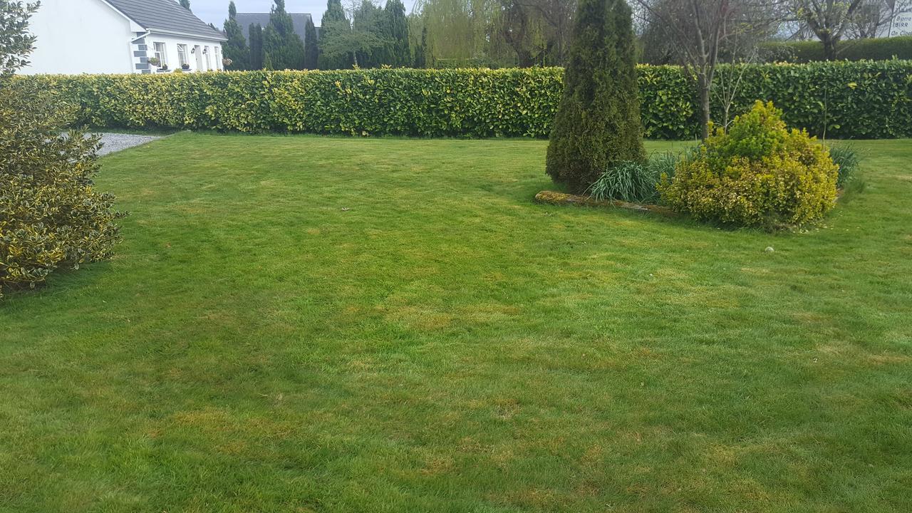 Ely House B&B Shannonbridge Bagian luar foto