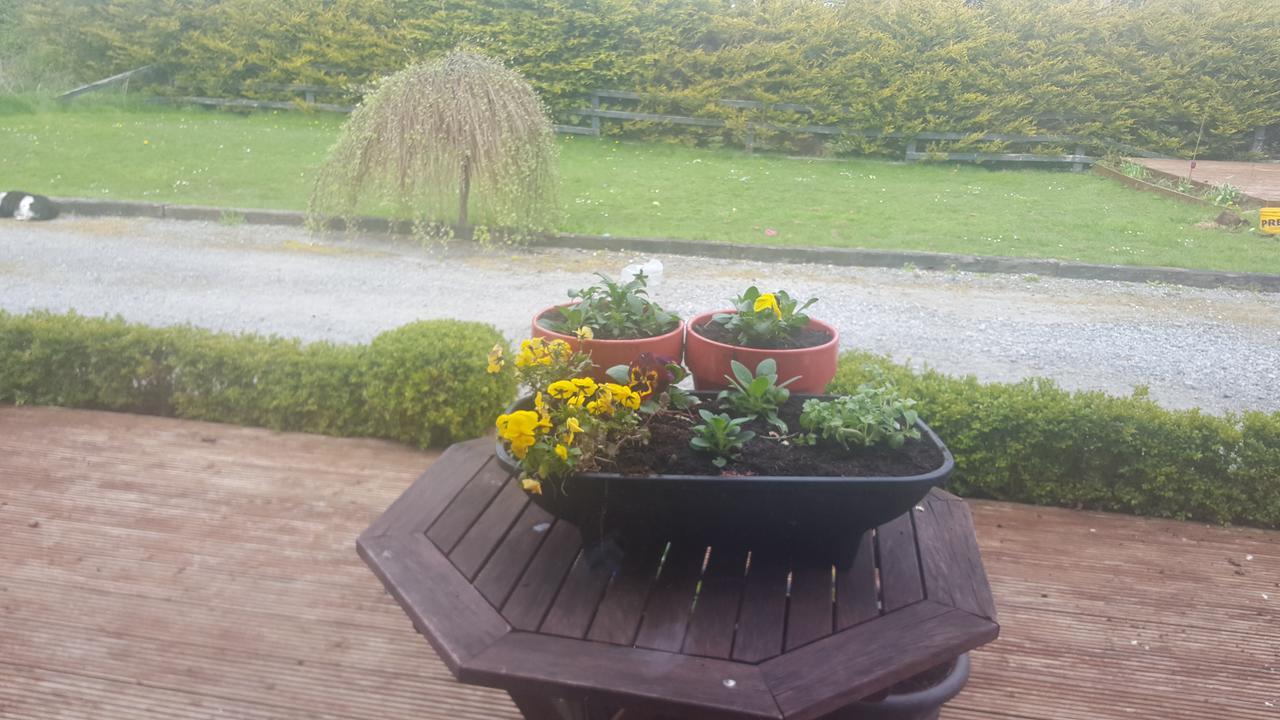 Ely House B&B Shannonbridge Bagian luar foto
