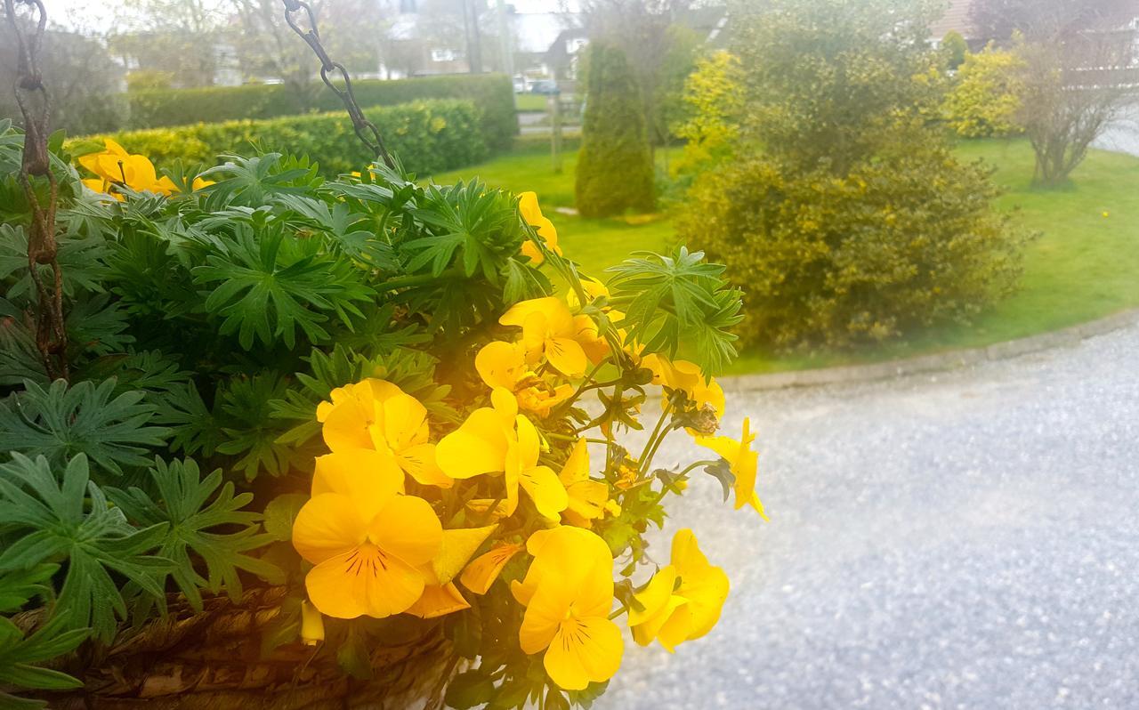 Ely House B&B Shannonbridge Bagian luar foto