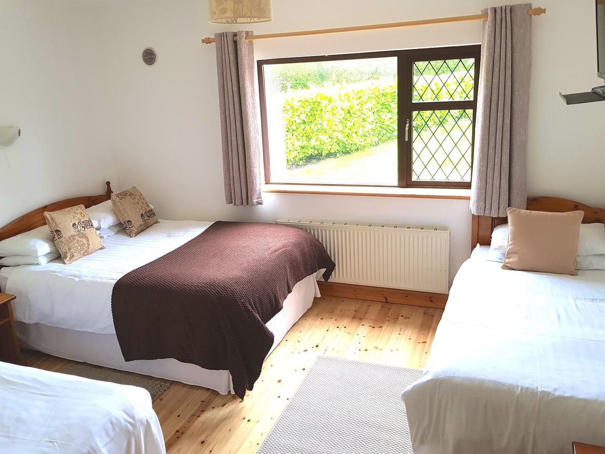 Ely House B&B Shannonbridge Bagian luar foto